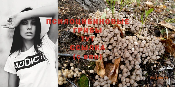 mix Сосновка