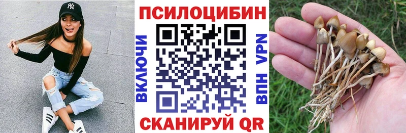 Галлюциногенные грибы Magic Shrooms Высоцк