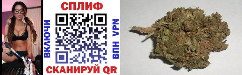 Бошки марихуана AK-47  Высоцк 